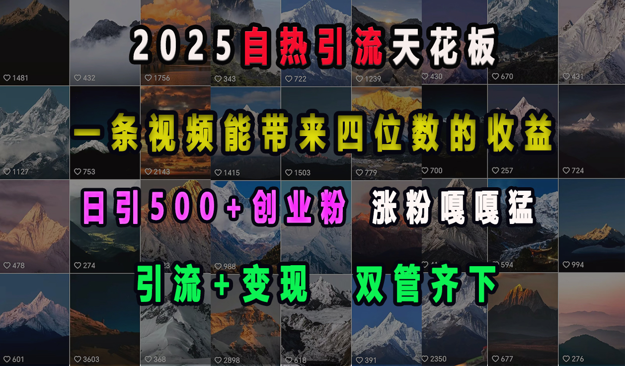 2025自热引流天花板,一条视频能带来四位数的收益,引流+变现双管齐下,日引500+创业粉,涨粉嘎嘎猛
