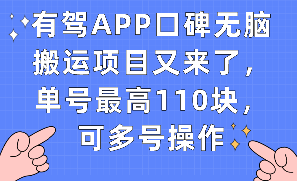 有驾APP口碑无脑搬运项目又来了,单号最高110块,可多号操作