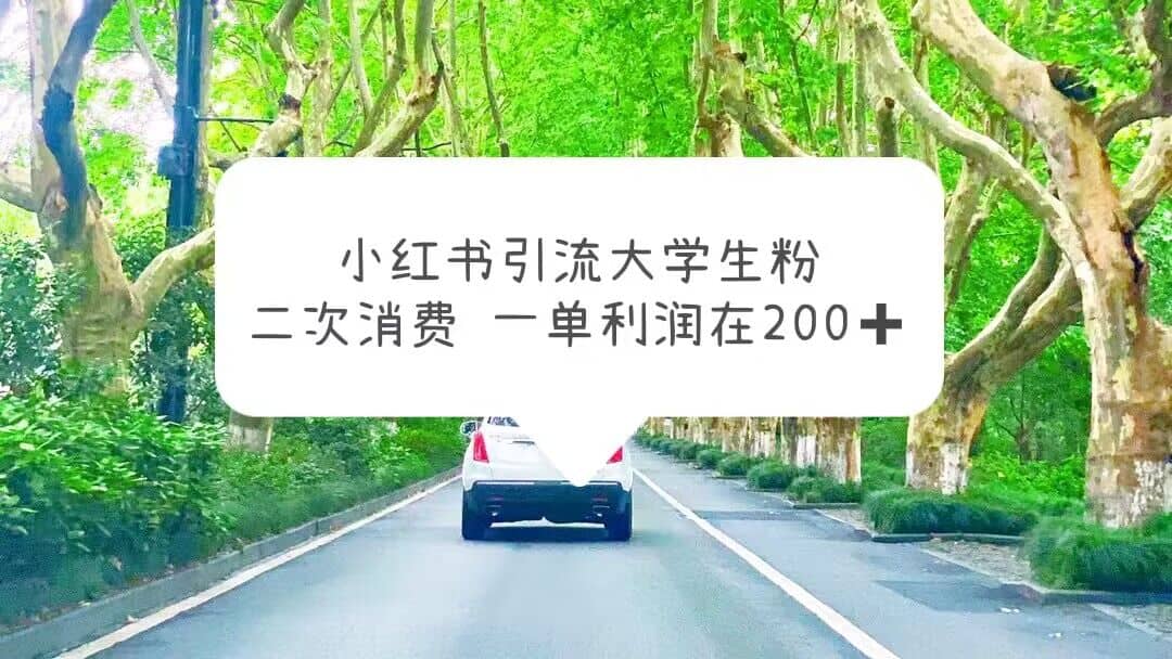 小红书引流大学生粉,变现项目,一单利润在200+(教程+资源)