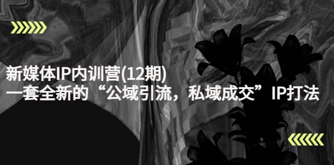 新媒体IP内训营(12期),一套全新的“公域引流,私域成交”IP打法,直接带走