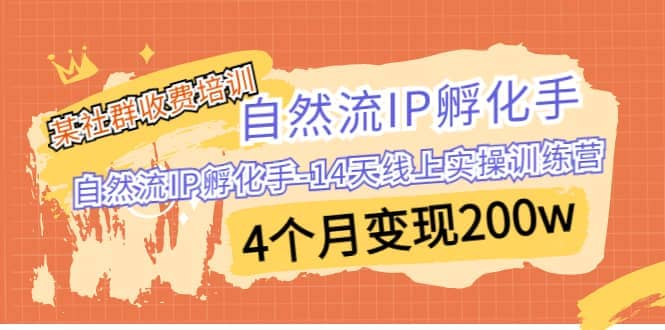 某社群收费培训:自然流IP 孵化手-14天线上实操训练营 4个月变现200w
