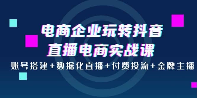 电商企业玩转抖音直播电商实战课:账号搭建+数据化直播+付费投流+金牌主播
