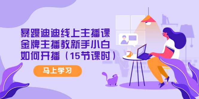 暴躁迪迪线上主播课,金牌主播教新手小白如何开播(15节课时)