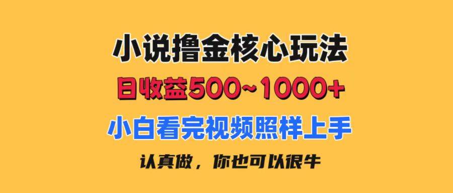 小说撸金核心玩法,日收益500-1000+,小白看完照样上手,0成本有手就行