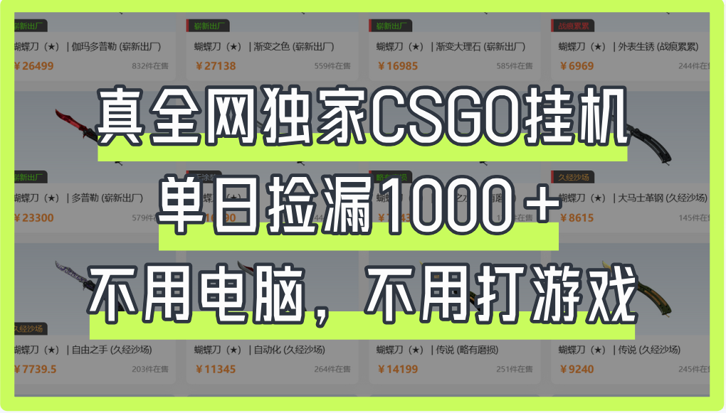 真全网独家CSGO挂机,单日捡漏1000+