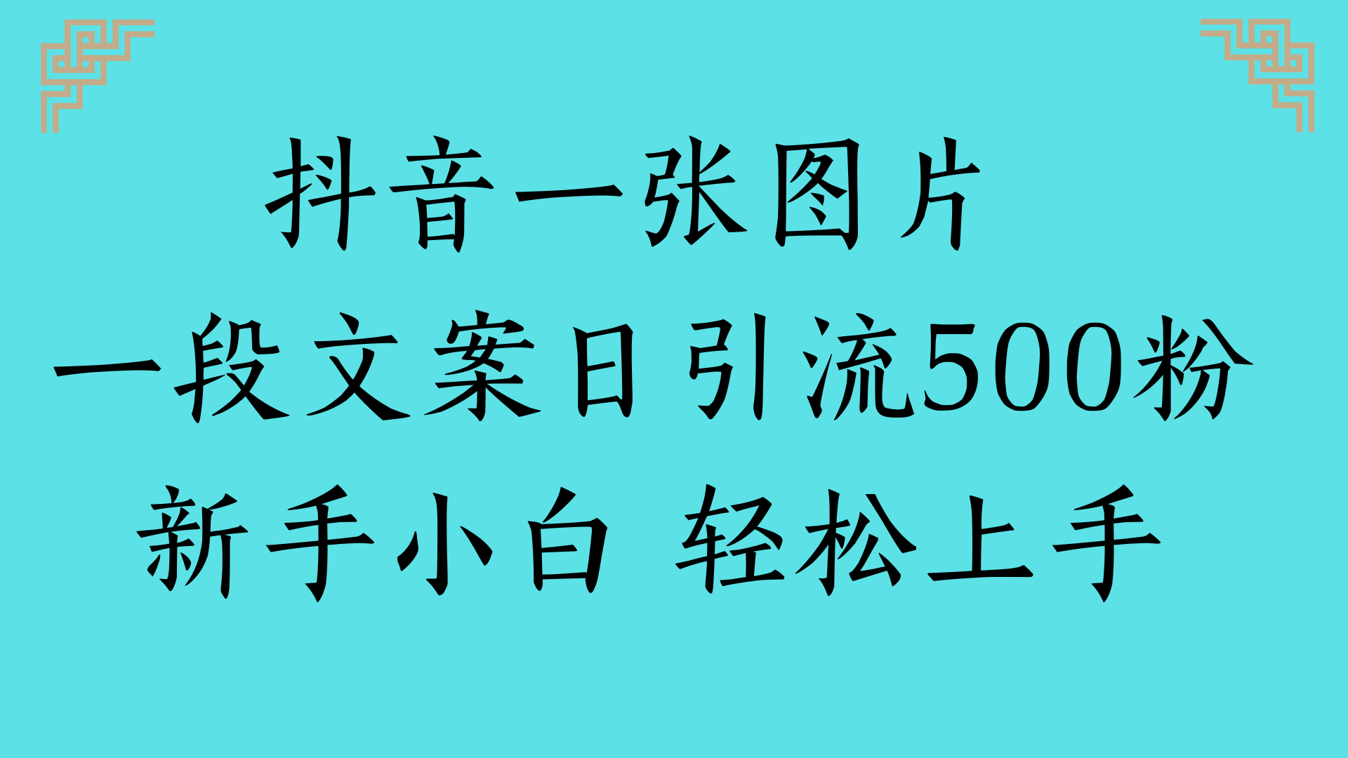 抖音一张图片 一段文案日引流500粉新手小白 轻松上手