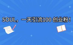 SOUL，一天引流100 创业粉