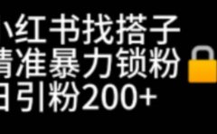 小红书找搭子暴力精准锁粉+引流日引200+精准粉