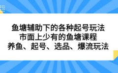 鱼塘辅助下的各种起号玩法，市面上少有的鱼塘课程，养鱼、起号、选品、爆流玩法