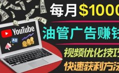 YouTube广告赚钱项目：只需发布视频就有收入，月入7000+副业