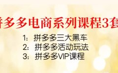 拼多多电商系列课程3套：拼多多三大黑车+拼多多活动玩法+拼多多VIP课程
