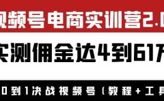 外面收费1900×视频号电商实训营2.0:实测佣金达4到61万(教程+工具)