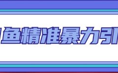 闲鱼精准暴力引流全系列课程,每天被动精准引流200+客源技术(8节视频课)