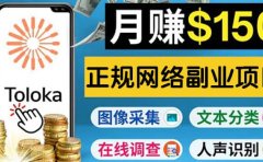 正规网络副业赚钱平台Toloka，利用业余时间月赚150美元