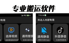 对外收费699抖音傻瓜式一键搬运，起号专用5分钟一个视频《软件+详细教程》