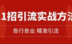 精准引流术:11招引流实战方法,让你私域流量加到爆(11节课完整版)