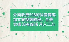 外面收费598抖音简笔加文案教程,全是实操 没有废话 月入三万(教程+资料)