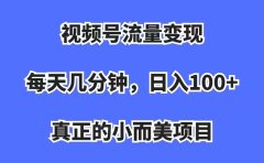 视频号流量变现，每天几分钟，收入100+，真正的小而美项目