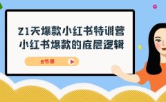 21天-爆款小红书特训营,小红书爆款的底层逻辑(8节课)