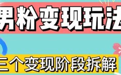 0-1快速了解男粉变现三种模式【4.0高阶玩法】直播挂课，蓝海玩法