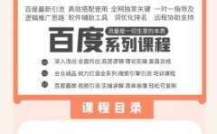 老派Seo：百度霸屏引流课程「搜索引擎推广全系可复制，打造精准被动流量系统」附带工具
