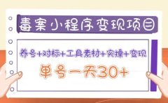 毒案小程序变现项目：养号+对标+工具素材+实操+变现