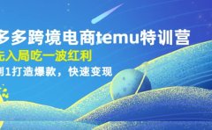 拼多多跨境电商temu特训营：先入局吃一波红利，从0到1打造爆款，快速变现