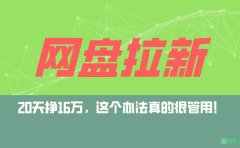 网盘拉新+私域全自动玩法,0粉起号,小白可做,当天见收益,已测单日破5000
