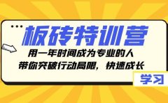 板砖特训营,用一年时间成为专业的人,带你突破行动局限,快速成长