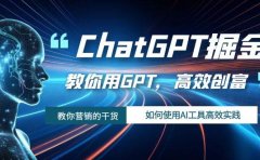 ChatGPT掘金,教你用GPT,高效创富!如何使用AI工具高效实践