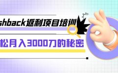 cashback返利项目培训:轻松月入3000刀的秘密(8节课)