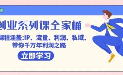 创业系列课-全家桶,9大课程涵盖:IP 流量 利润 私域 带你千万年利润之路