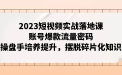 2023短视频实战落地课，账号爆款流量密码，操盘手培养提升，摆脱碎片化知识