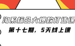 淘系标品大爆款打造课-第十七期,5天线上课