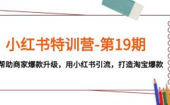 小红书特训营-第19期,帮助商家爆款升级,用小红书引流,打造淘宝爆款