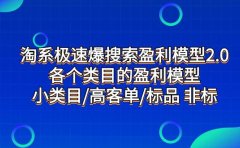 淘系极速爆搜索盈利模型2.0,各个类目的盈利模型,小类目/高客单/标品 非标