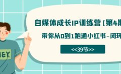 自媒体-成长IP训练营【第4期】：带你从0到1跑通小红书-闭环（39节）