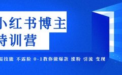 小红书博主爆款特训营-11期 无需技能 不露脸 0-1教你做爆款 涨粉 引流 变现