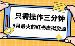 一单50-288,一天8单收益500+小红书虚拟资源变现,视频课程+实操课