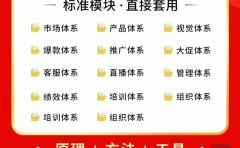 外面卖198·电商企业经营管理工具：全套执行落地方案 标准模块·直接套用
