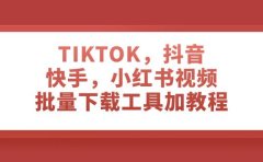 TIKTOK,抖音,快手,小红书视频批量下载工具加教程