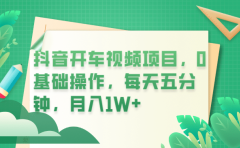 抖音开车视频项目,0基础操作,每天五分钟,月入1W+