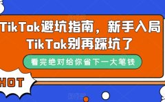 TikTok·避坑指南，新手入局Tk别再踩坑了（10节课）