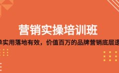 营销实操培训班:简单实用-落地有效,价值百万的品牌营销底层逻辑
