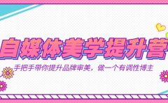 自媒体-美学提升营 手把手带你提升-品牌审美,做一个有调性博主(11节课)