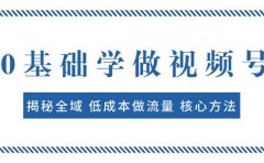 0基础学做视频号：揭秘全域 低成本做流量 核心方法  快速出爆款 轻松变现