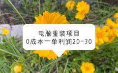 电脑系统重装项目,0成本一单利润20-30