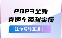2023全新直通车·盈利实操：从底层，策略到搭建，让你玩转直通车