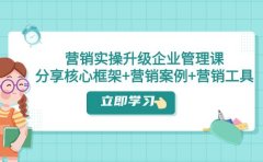 营销实操升级·企业管理课:分享核心框架+营销案例+营销工具(课程+文档)