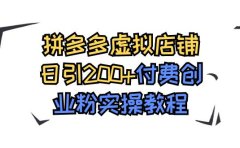 拼多多虚拟店铺日引200+付费创业粉实操教程